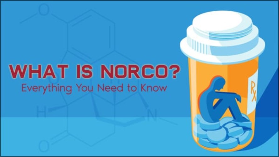 Norco : Drug Information