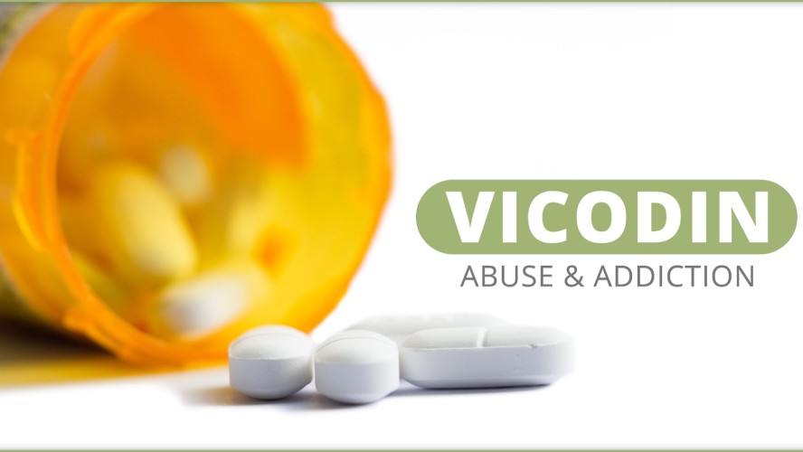 Vicodin : Drug Information