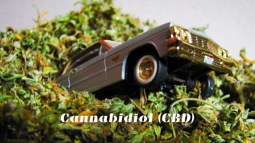 Cannabidiol (CBD)