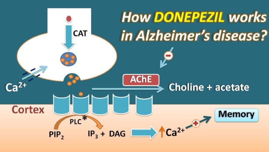 Donepezil drug information